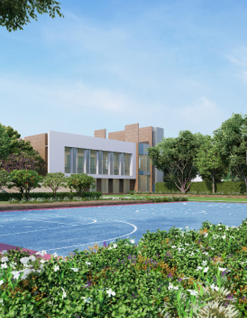 Multipurpose Sports Court