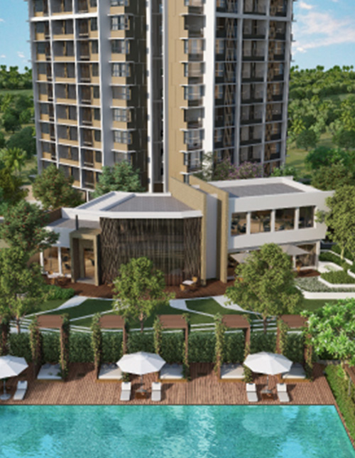 Poolside Decks
