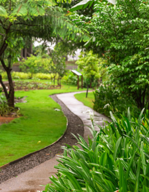 Parks and Gardens